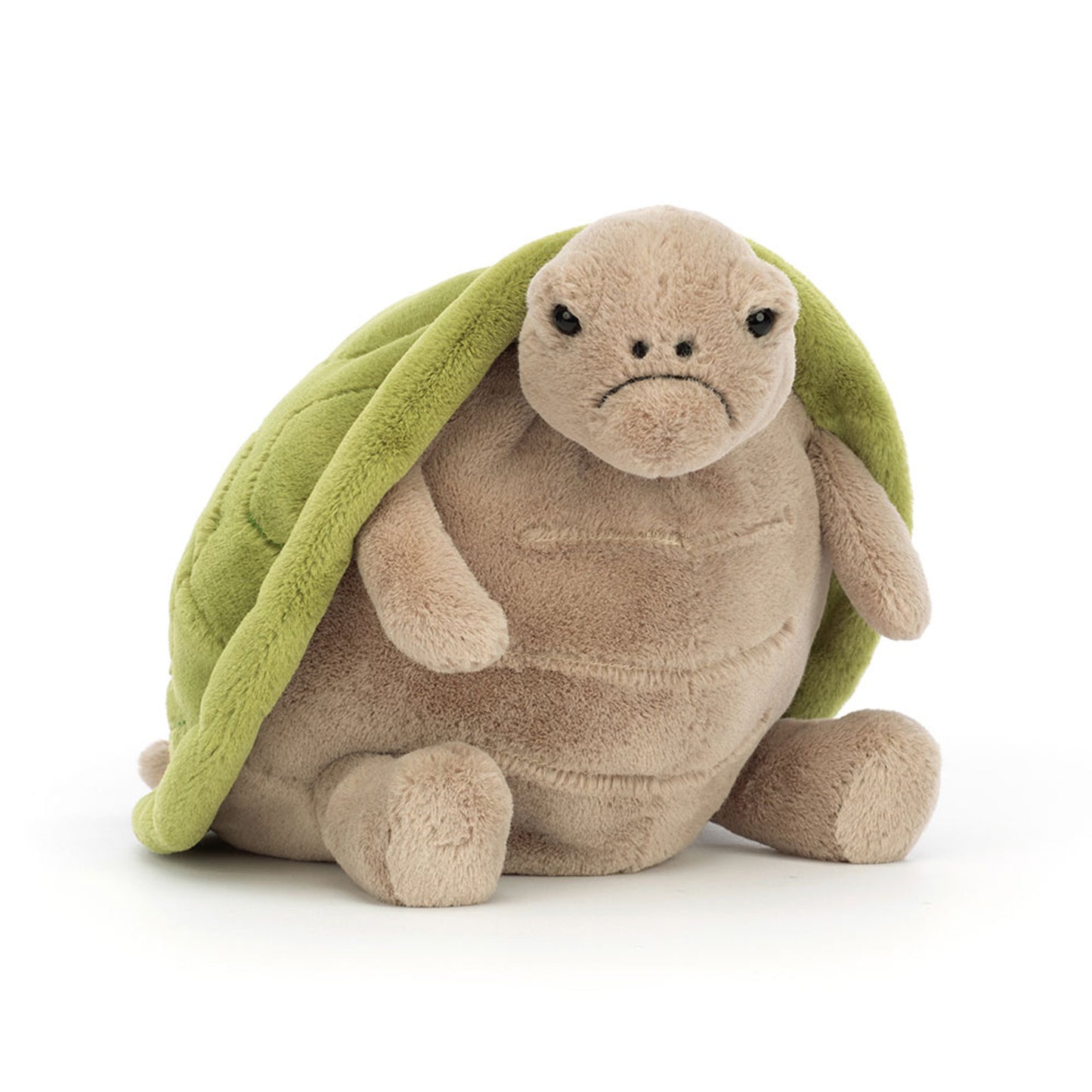Timmy Turtle Romantic Outfit