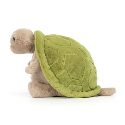 Timmy Turtle Romantic Outfit